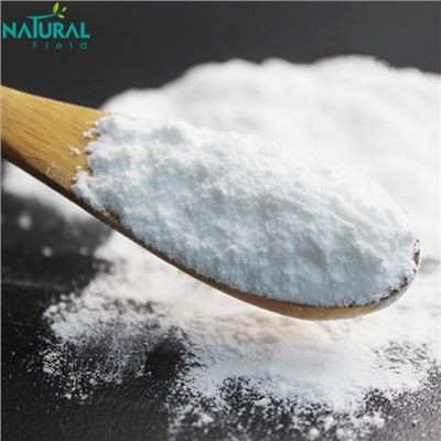 Probiotik Bifidobacterium Longum